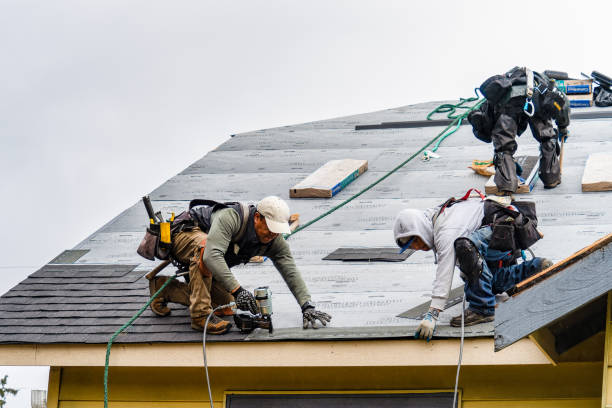Professional Gutter Installation technician working in Paul, ID